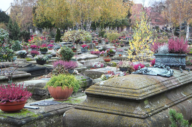Sepoltura-cimitero