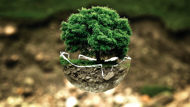 Ecologia-territorio