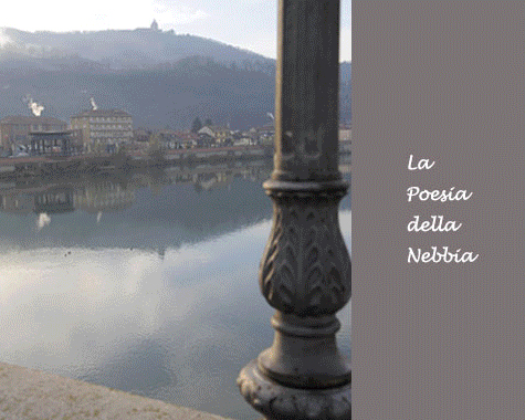 sm-nebbia